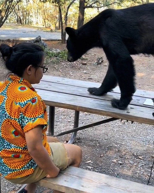 A girl somehow manages to remain calm as the bear scans the table for more food after eating the family's tacos and enchiladas from a picnic table in the Chipinque Ecological Park, in San Pedro Garza García, Nuevo Leon