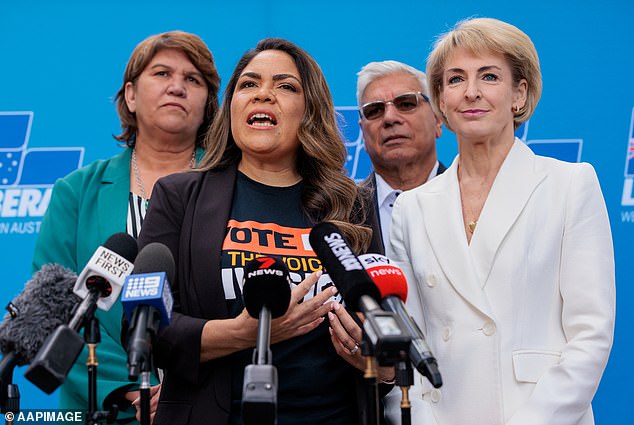 The shadow minister for Indigenous Australians is leading the opposition's no vote for the upcoming October 14 referendum