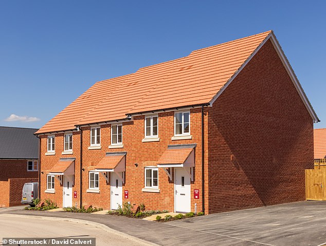 Good result: Vistry said the merger of its housing and partnerships divisions would help the company focus on tackling Britain's serious shortage of affordable housing