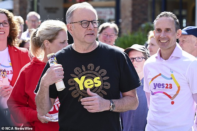 The poll, conducted by Newspoll for The Australian, shows the No vote at 53 percent, about six weeks after the Oct. 14 referendum — the first time support for the No vote has risen to an outright majority ( Anthony Albanese is pictured)