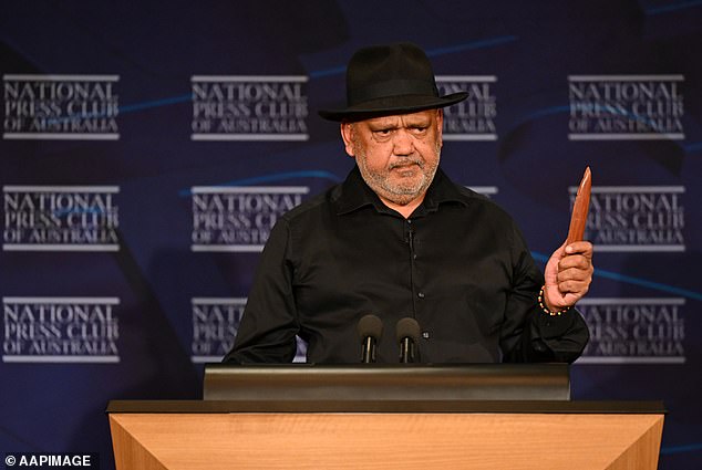 Yes, campaigner Noel Pearson has said Indigenous people are terrified the Voice referendum will be bitterly divisive if it fails