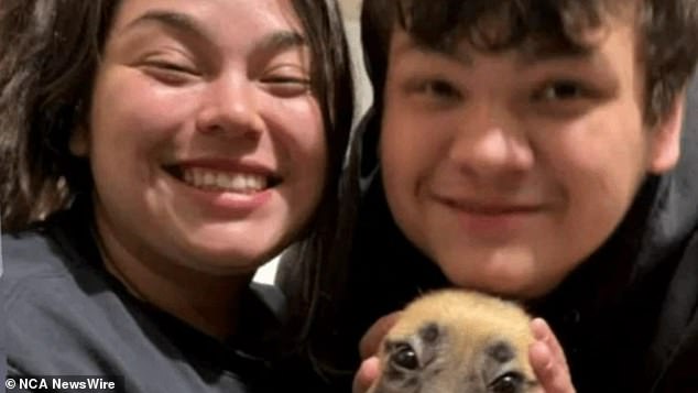 Alina Kauffman, 24, and her brother Ernesto Salazar, 15, were killed when an allegedly speeding Mercedes crashed into their Toyota Echo in southwest Sydney last week