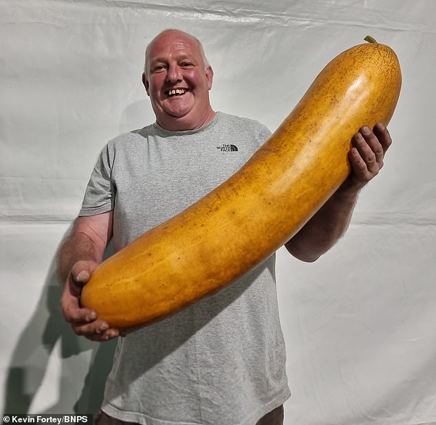 Mr Sjodin said his vegetables - such as his record-breaking bone marrow cucumber in 2021 - are so big because of his 'secret formula' and the fresh Welsh air on his allotment in Barry, South Wales.