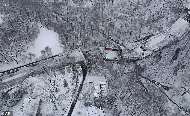 An overhead shot of the two-lane span, on Forbes Avenue above Fern Hollow Creek in Frick Park - one of Pittsburgh's largest parks - came down around 7 a.m. in January 2022, involving multiple vehicles