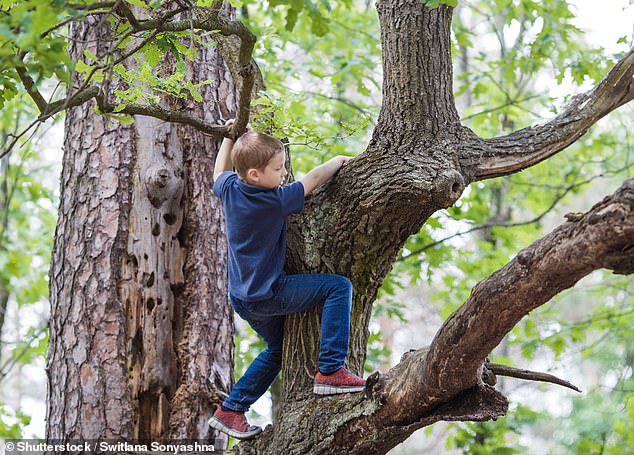 Some parents hover anxiously over their children in the playground, afraid they will slip and fall.  But letting your kids take risks while playing could have a positive impact on the amount of exercise they get, a study suggests