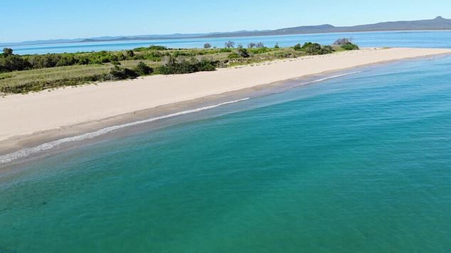 Temple Island, off the coast of Mackay in Queensland, is for sale for $1.7 million