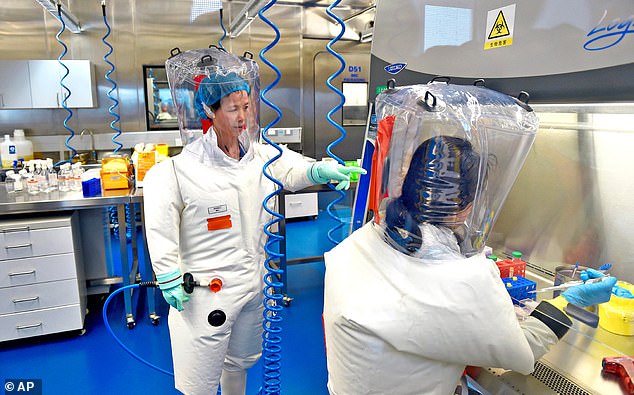 Shi Zhengli – dubbed the 'Bat Lady' to 'Bat Woman' for her work on bat coronaviruses – explored the possibility that Covid could have emerged from her laboratory in 2020, according to colleagues.  Here she is seen working with other researchers at the Wuhan Institute of Virology in 2017