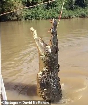 An Australian man revealed he has to drive across a crocodile-infested river during his commute