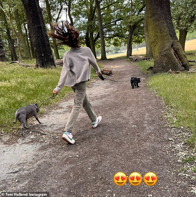 Cute: Tom also shared a photo of Zendaya in a park walking her cute dogs