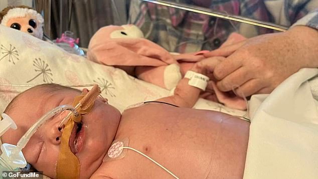 When Pixie Robinson was just over two weeks old, he developed heart failure.  Pictured: Pixie, from the family's GoFundMe page