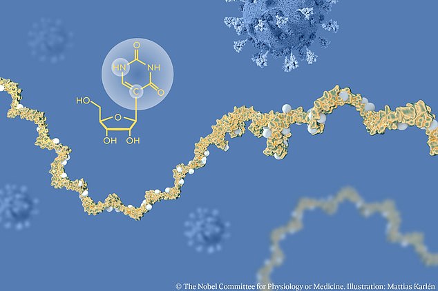 1696242744 674 And the winner is Covid vaccines Nobel Prize for Medicine