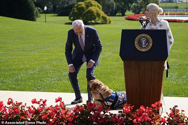 Selma Blair watches as President Joe Biden leans down to see Blair's service dog Scout