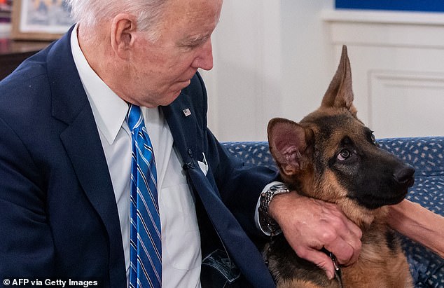 The 2-year-old German Shepherd reportedly suffered his 11th bite from one of the president's key protectors last week