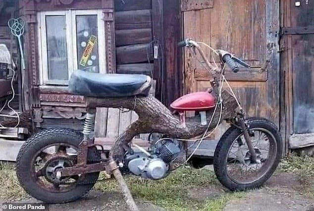 Posted on the American forum Reddit, a creative person used a tree branch to repair (or ruin) a motorcycle.