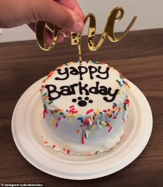 “One of the highlights of the evening was his cake, which cost $20 and was personalized for reading "Jappy bark day," Sandra said