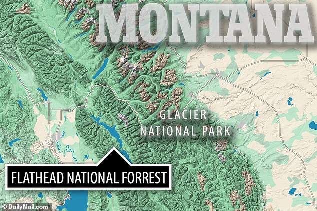 The attack occurred near Glacier National Park on the banks of Trail Creek, a popular hiking spot in Flathead National Forrest.  The last reported bear incident in this area occurred in July 2023, when a 5-year-old bear was euthanized