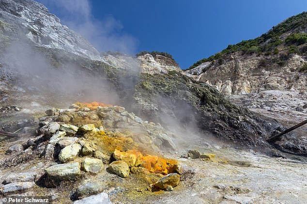 The Campi Flegrei volcano in southern Italy has become weaker and more prone to rupturing, making an eruption more likely, experts say.  Pictured is Solfatara, a shallow volcanic crater that is part of Campi Flegrei