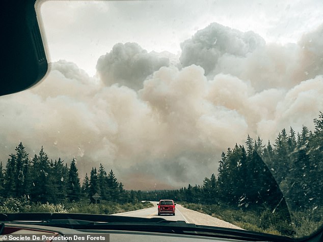 Pictured: Smoke from wildfires engulfing a forest in the northern zone of the Canadian province of Quebec