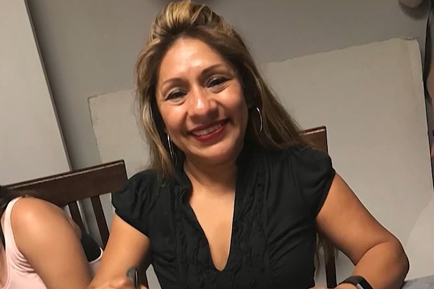 Adriana Sanchez was walking her two dogs in North Hills around 6 a.m. when the vehicle struck her and her two dogs
