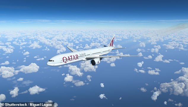 Qatar Airways previously said she 'couldn't be revived' but a couple sitting in front of Mrs Gordon revealed 'it didn't feel like they (cabin crew) were doing enough' when she started having breathing difficulties (stock image)