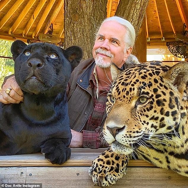 Antle posing with big cats.  Antle was sentenced Tuesday by a Frederick County judge to two years in prison, with time suspended on each charge.