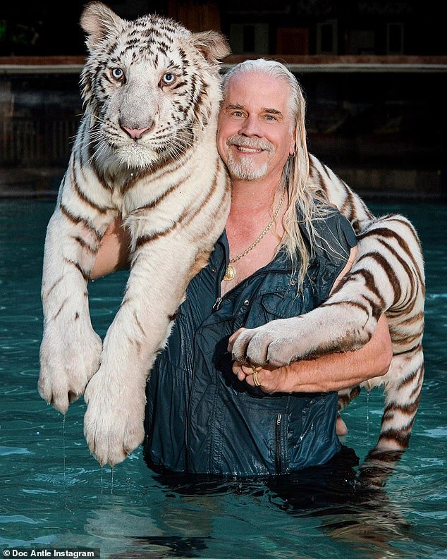 Antle with a tiger over his shoulder.  He appeared in the wildly popular Netflix documentary Tiger King: Murder, Mayhem and Madness in 2020, shedding light on big cat breeders and private zoos in the US.