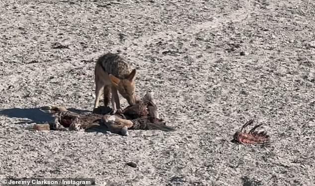 1696418532 799 Jeremy Clarkson reveals he is stranded in Botswana alongside Richard