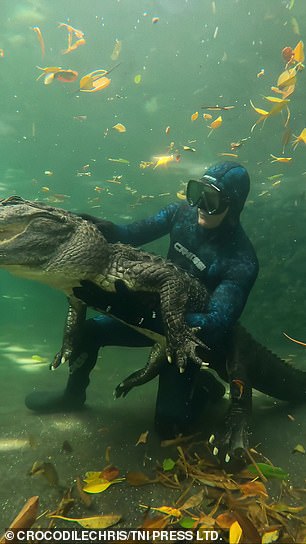 Chris is pictured holding the alligator at the wildlife refuge