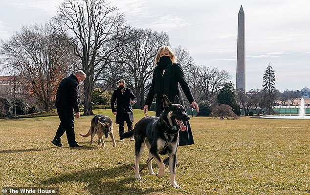 Haney joined First Lady Jill Biden and presidential granddaughter Maisy to walk with Major and Champ less than three weeks into Biden's presidency