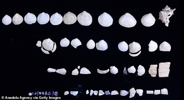 The site's chief archaeologist, Gökhan Coşkun, chairman of classical archeology at Dumlupinar University, told reporters that during Greco-Roman times, makeup, including eye shadow and blush, was often preserved in oyster shells (above), as an organic, Mediterranean compact.