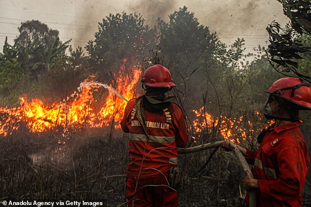 Last month, large parts of Indonesia were ravaged by haze and smog caused by massive forest fires