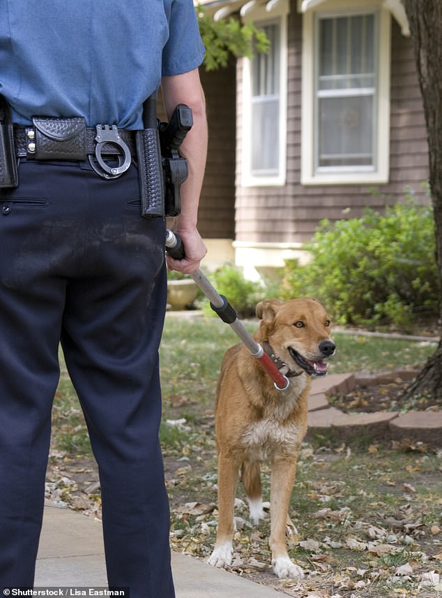 Perth City CEO Mike Bradford said the use of a catch post was necessary because the dog had reacted aggressively to park rangers, but he expressed his condolences over the death (stock image)