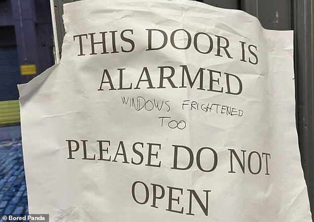 A witty person decided to write that the window was scared after they saw a sign that said 'the door was alarmed'