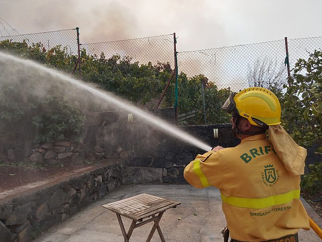 So far, an area of ​​only 30 hectares (70 acres) has been affected and firefighters are battling to control the blaze