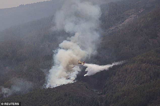 A firefighting plane dumps water over Guimar as forest fires rage out of control on the island of Tenerife, Canary Islands, Spain, August 22, 2023