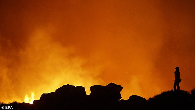 A photo provided by the Military Emergency Unit (UME) shows a UME member working to extinguish the forest fire in Arafo-Candelaria, Tenerife, Canary Islands, Spain, August 21, 2023