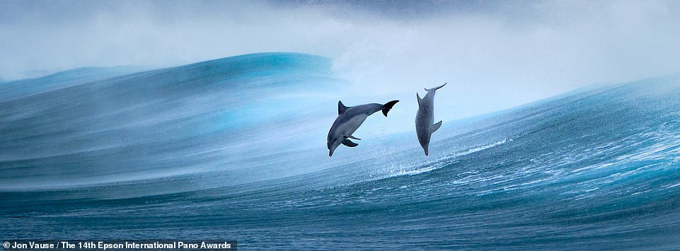 This playful image shows a pair of dolphins jumping through the waves at Cape Naturaliste, Western Australia.  It takes joint 14th place in the Amateur Nature Landscapes category