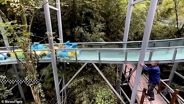 Two boats follow behind her, crashing into the woman before she is swept down the slide