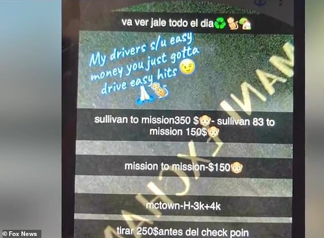 Cartels use TikTok to target teens with social media ads