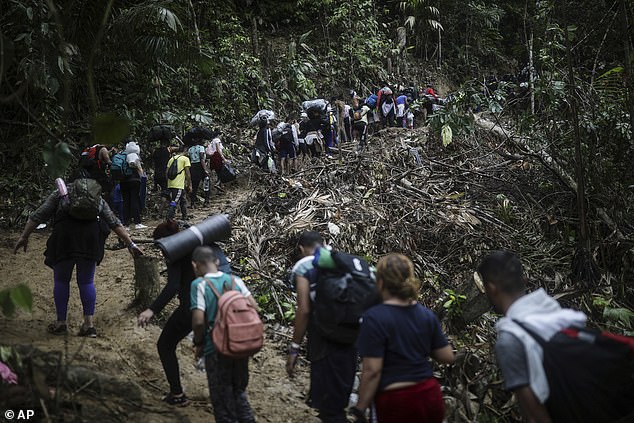 Migrants walk across the Darien Gap from Colombia to Panama in hopes of reaching the U.S. Hundreds of thousands of migrants have risked the perilous journey through the jungle in recent years, and the flow is at a record pace this year