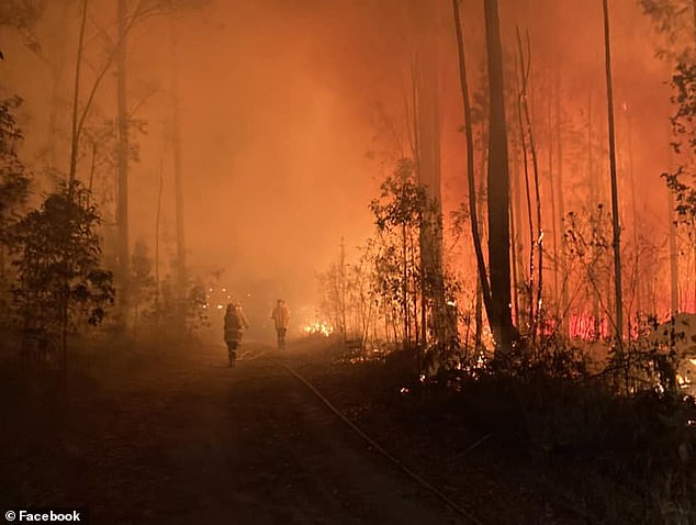 The New South Wales Rural Fire Service said it fought nearly 400 fires (one above) in the past week and warned residents to be prepared for bushfires