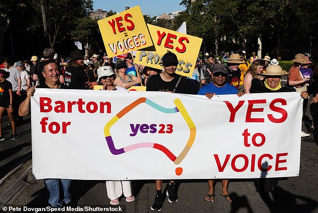 He feared the concerns of Voice activists in urban areas (Sydney Yes rally pictured) would overshadow the needs of people in Central Australia in places like Papunya or Yuendumu.