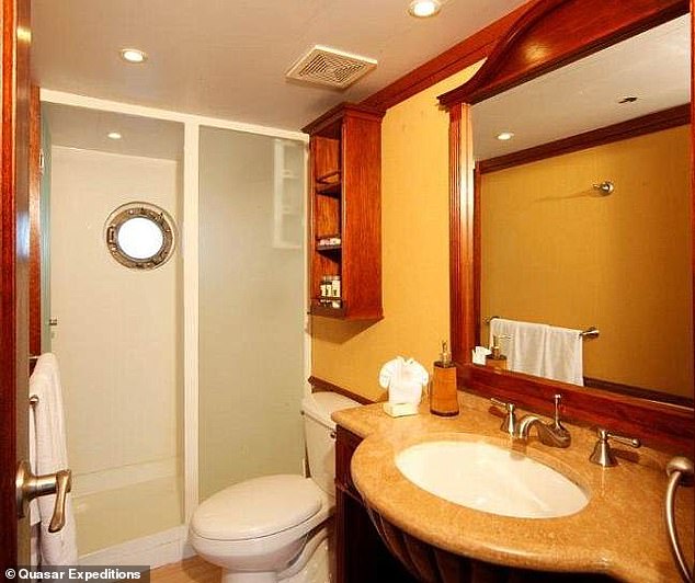 The bathroom once had multi-colored wood paneling (shown before renovation)