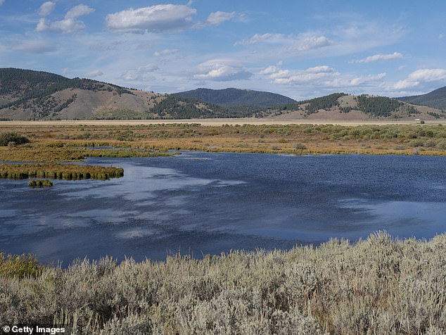 Henrys Lake State Park (image).  After the hunter shouted at his partner, the grizzly attacked him directly.  He fired several shots with a sidearm, killing the bear before he could reach them