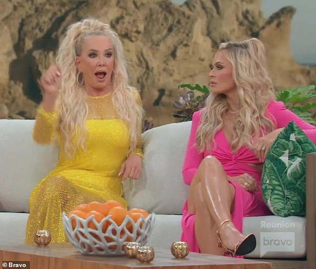 Good question: Tamra Judge, 56, while sitting next to Shannon on the virtual beach set, asked her why she got so mad at newcomer Jennifer Pedranti, 46, for telling Gina when it was caught on camera