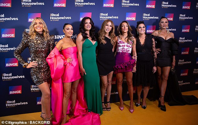 Pictured: The cast of the RHOS reboot - Dr. Kate Adams, Terry Biviano, Chrissy Marsh, Nicole O'Neill, Sally Obermeder, Victoria Montano and Carol Gauthier