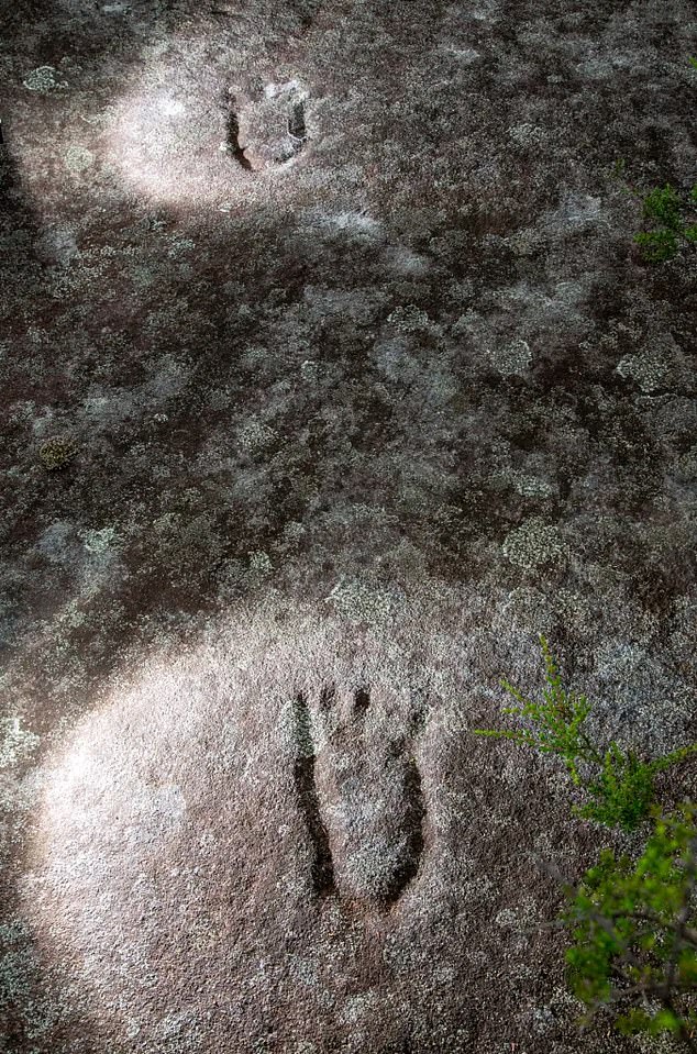 Ancient carvings carved into the landscape are located around the bush area