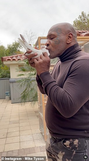 Tyson, known as the 'baddest man on the planet' for his ruthless ring persona, isn't bad anymore