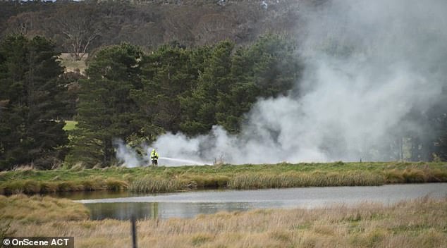 The light aircraft (pictured) crashed north-east of Canberra on Friday afternoon before bursting into flames