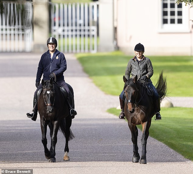 Yesterday, the father-of-two sported navy and a chain jumper with a royal figure on it for a walk, making sure to put on a helmet and riding gloves